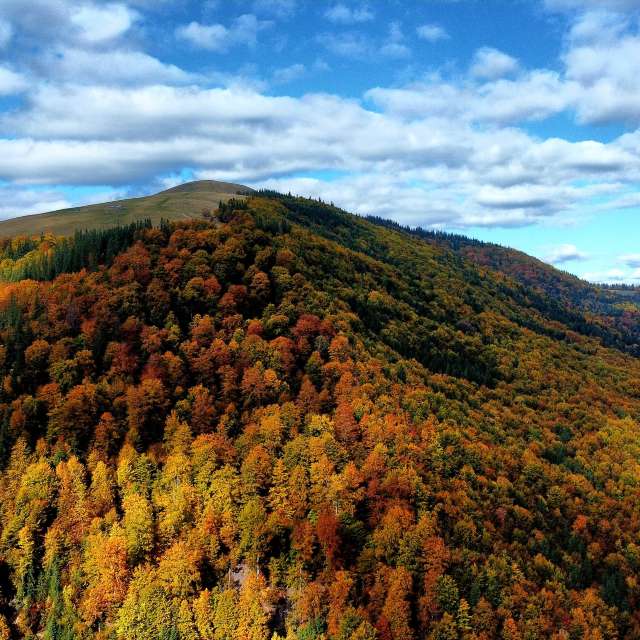 Weather forecasts with beautiful photos by Camelyon