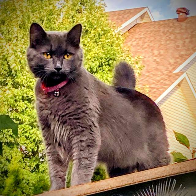 Fotos del Posado. Pronósticos del tiempo con hermosas fotos de Lulu5523 en le Plateau