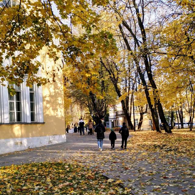 天气预报，带19Lora46精美的照片