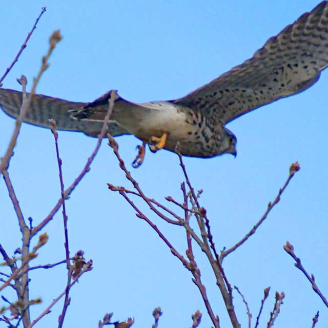 Weather forecasts with beautiful photos by tony5636