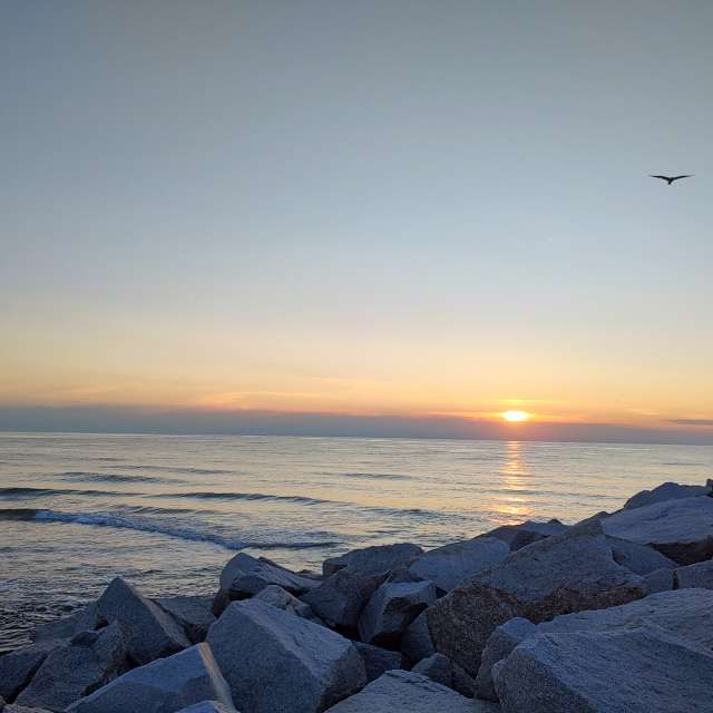 Previsões do tempo com lindas fotos de drollted