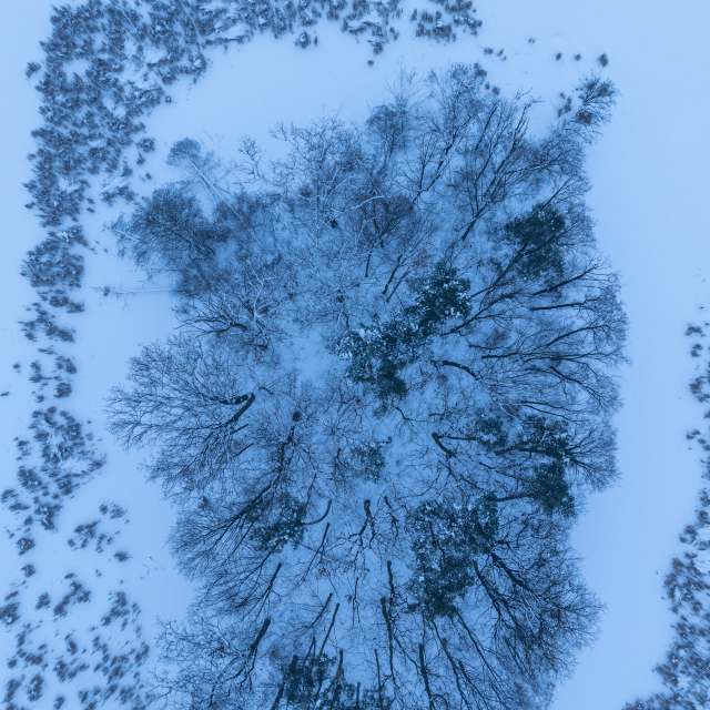 Previsões do tempo com lindas fotos de ooee