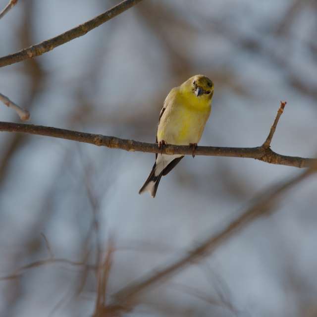 Dự báo thời tiết với những bức ảnh đẹp của krantzjh