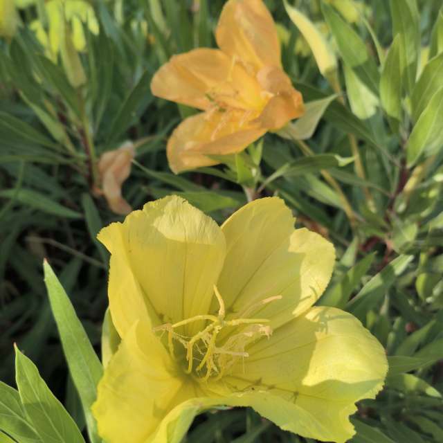 Fotos del Mar. Pronósticos del tiempo con hermosas fotos de YanBog en Bucharest