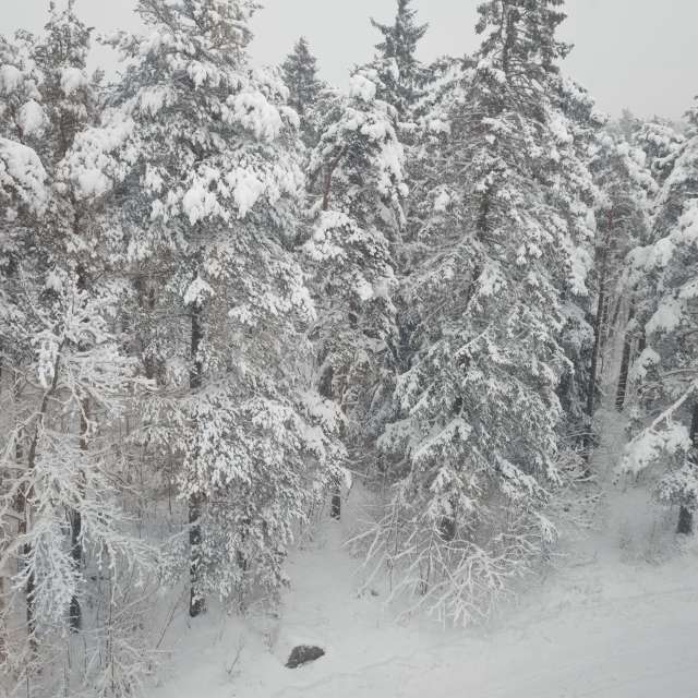 Weather Photos in World. Weather forecasts with beautiful photos by uppsalaunge