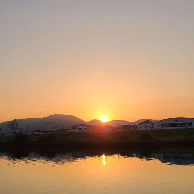 Sheep. Weather forecasts with beautiful photos by あさのジジ Photos in Okayama