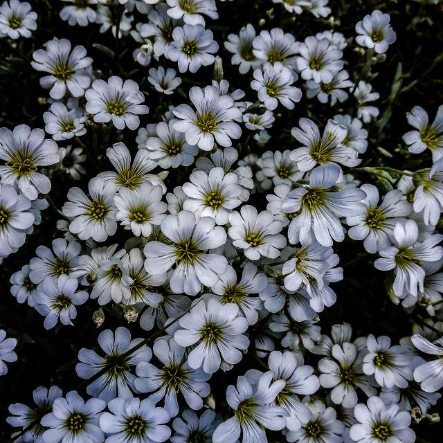 世界的天气照片. 天气预报，带aastrelkova精美的照片