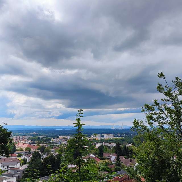 Hill. Weather forecasts with beautiful photos by Tercis Photos in Ettlingen