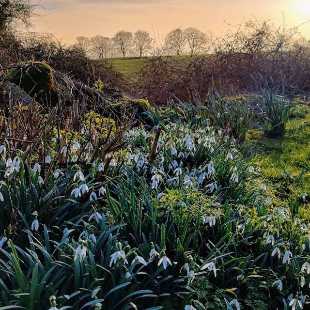 Yarwell Mill Country Parkの多くの. kns666の美しい写真による天気予報の写真