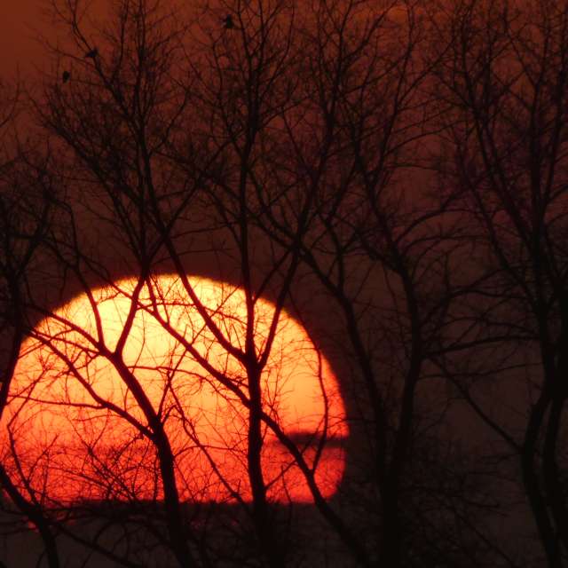 Прогнозы погоды с чудесными фотографиями, сделанными fwerner