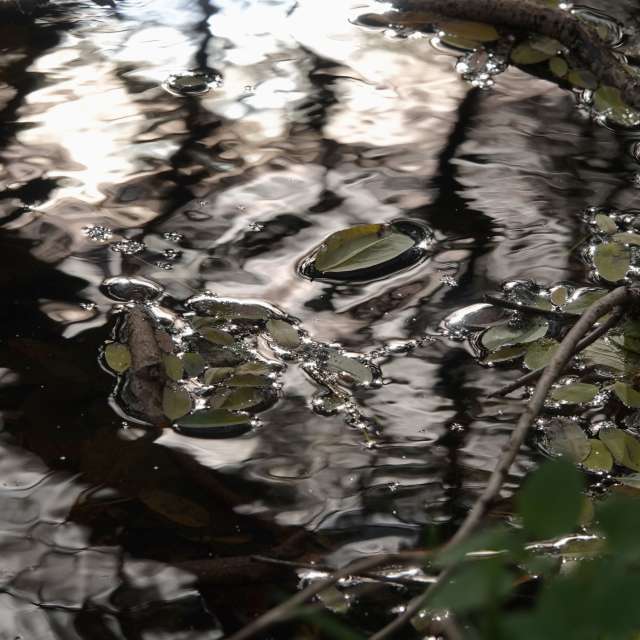 Fotos Riacho. Previsões do tempo com lindas fotos de Vasek325 em Praha 4