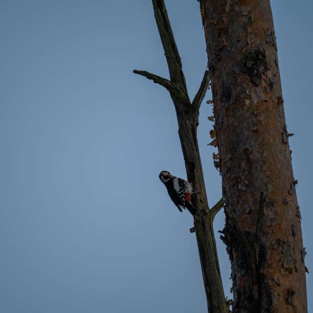 Previsões do tempo com lindas fotos de ooee