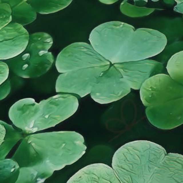 Previsões do tempo com lindas fotos de jJaycox