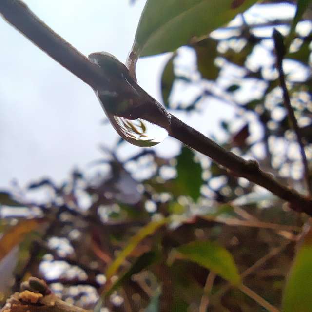 Fotos Molhado. Previsões do tempo com lindas fotos de Zorrra em Kladow