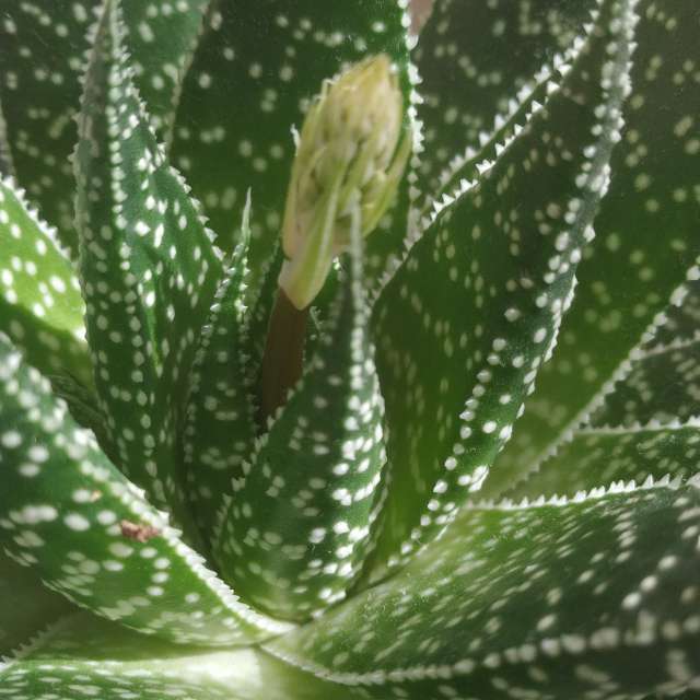 Weather forecasts with beautiful photos by Siulasem