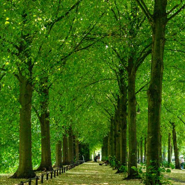 Gras. Wettervorhersagen mit schönen Fotos von Lecheval Fotos Münster