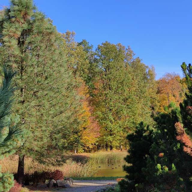 Weather forecasts with beautiful photos by Romek58