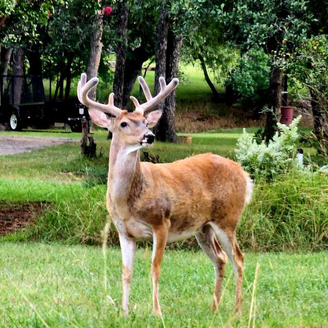 Previsões do tempo com lindas fotos de Mklady75