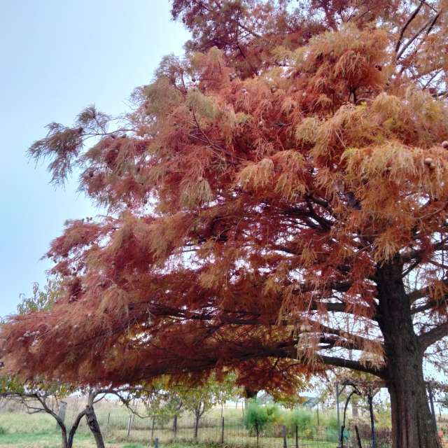 Weather forecasts with beautiful photos by Kate72