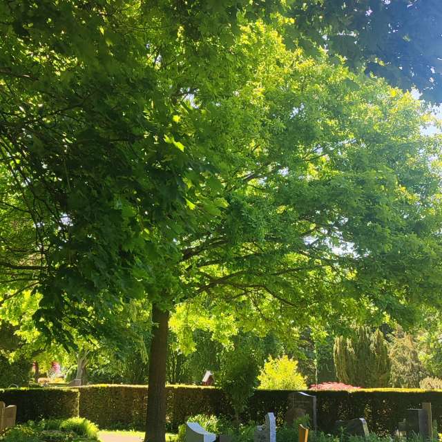 Bus. Weather forecasts with beautiful photos by Tercis Photos in Ettlingen