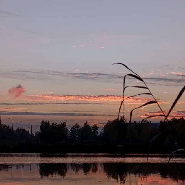 Lena_Glukhovaの美しい写真による天気予報