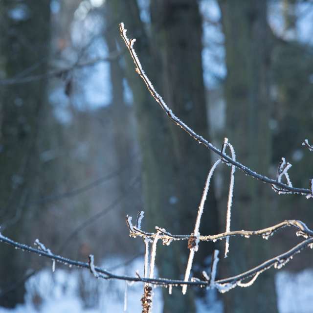 Прогнозы погоды с чудесными фотографиями, сделанными martinm611