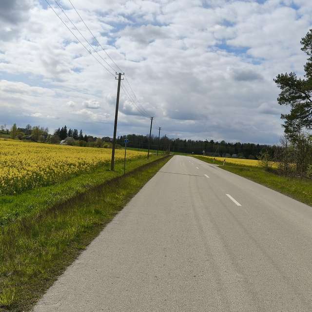 Hintergrund. Wettervorhersagen mit schönen Fotos von Valiukas Fotos Litauen