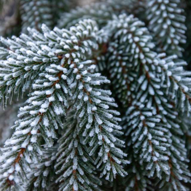 Weather forecasts with beautiful photos by RobertNagaj