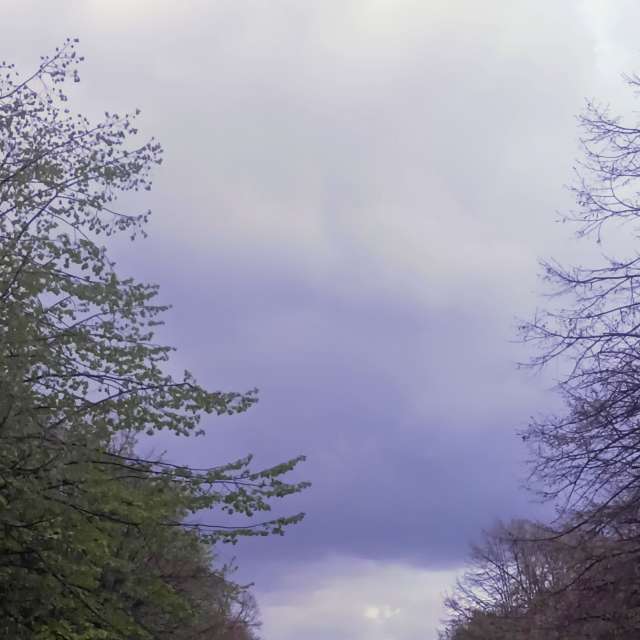 Fotos del Camino. Pronósticos del tiempo con hermosas fotos de YanBog en București