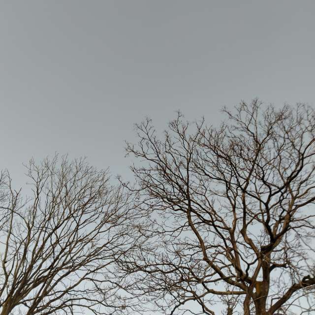 Standing. Weather forecasts with beautiful photos by あさのジジ Photos in Okayama