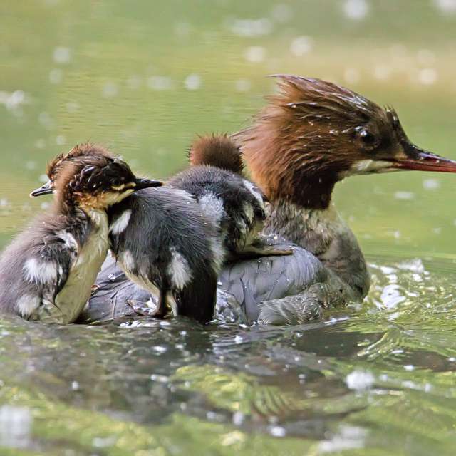 Tom44の美しい写真による天気予報