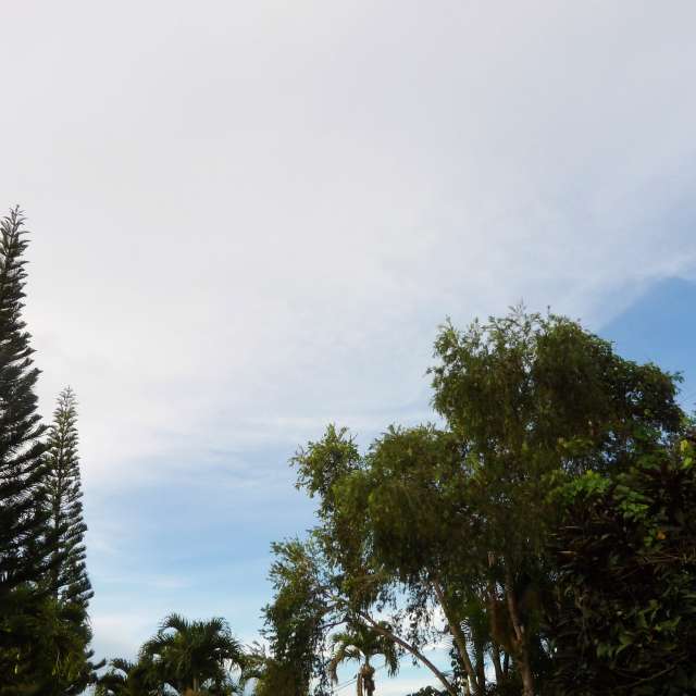 Previsões do tempo com lindas fotos de lcruz23