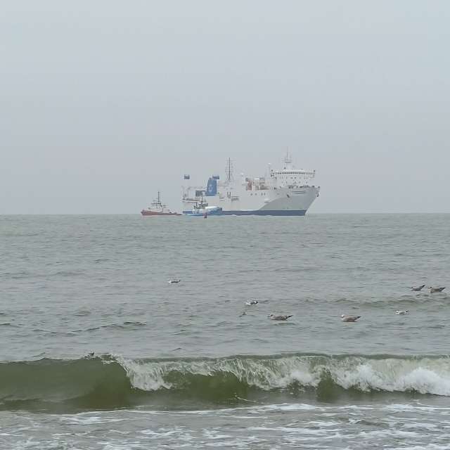 Fotos Navio. Previsões do tempo com lindas fotos de Михаил Бондаренко em Pionerskiy