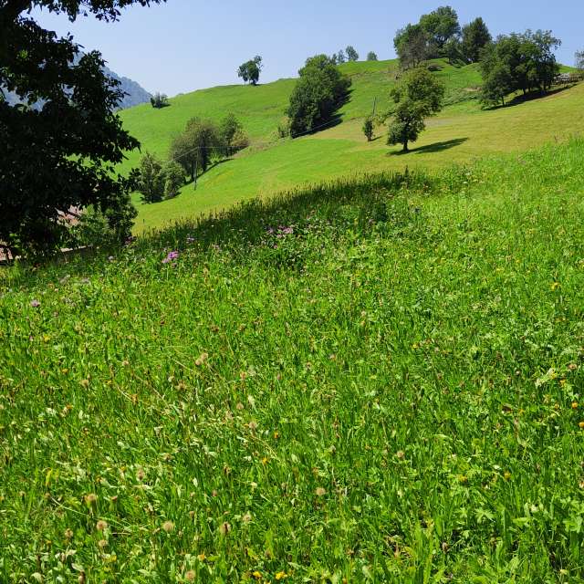 Weather forecasts with beautiful photos by Emanuele Manu Ventura