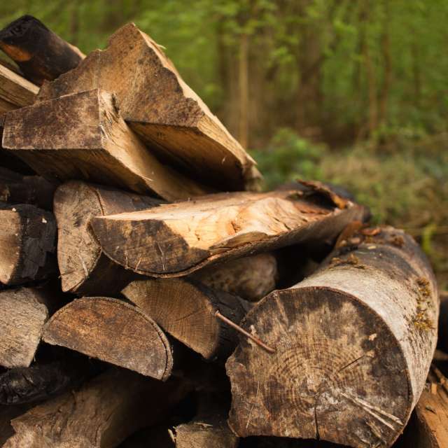 天气预报，带Axys精美的照片