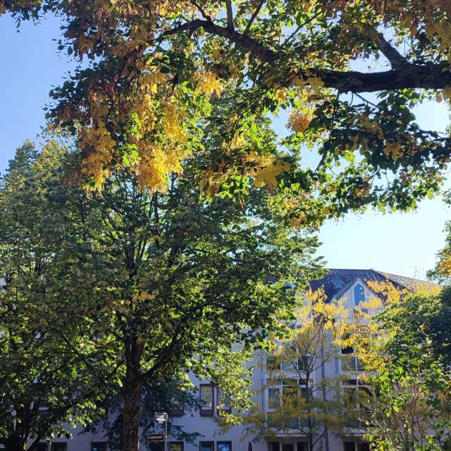 Path. Weather forecasts with beautiful photos by Tercis Photos in Ettlingen