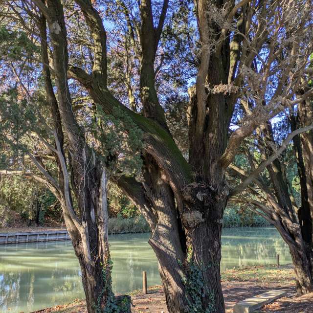 Morelenの美しい写真による天気予報