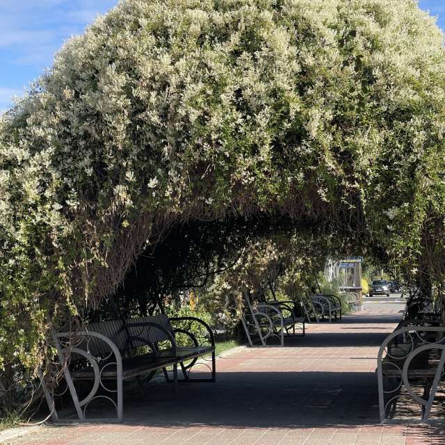 Pronósticos del tiempo con hermosas fotos de Vera22