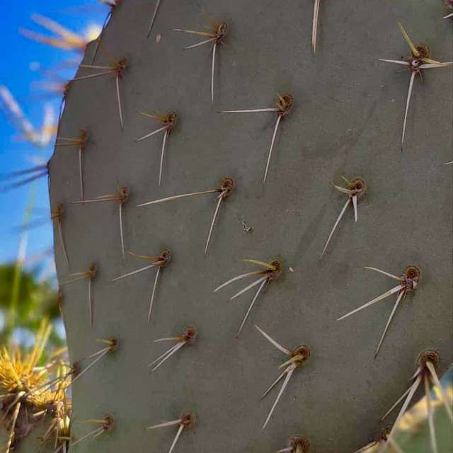Weather forecasts with beautiful photos by BETOGONZALEZ