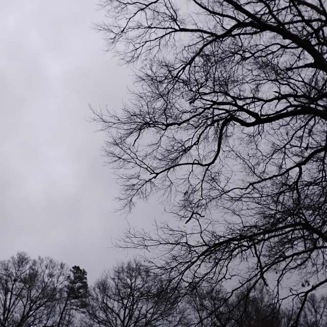 Прогнозы погоды с чудесными фотографиями, сделанными Awcat