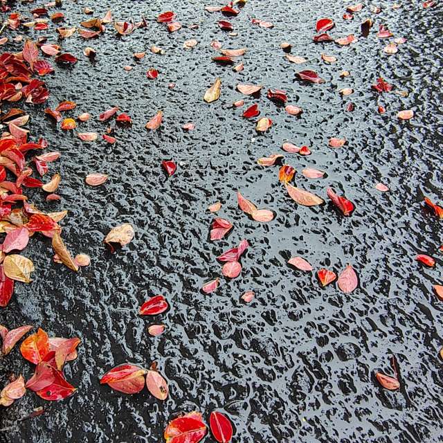 世界的天气照片. 天气预报，带Ghostroku精美的照片