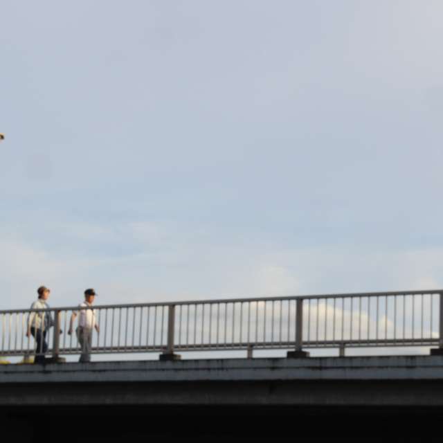 Weather forecasts with beautiful photos by Polamalu