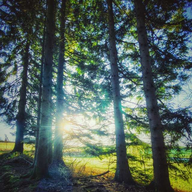 Previsões do tempo com lindas fotos de Gweiland