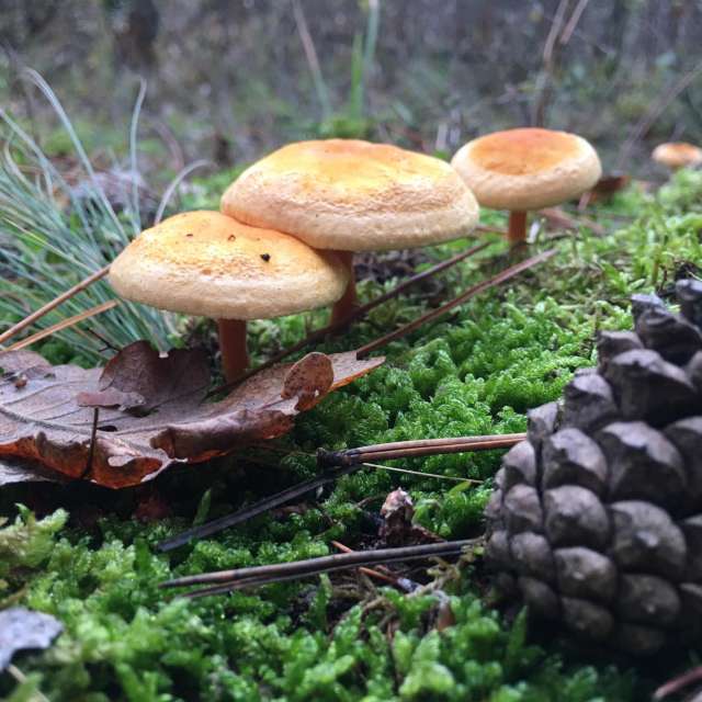 Pronósticos del tiempo con hermosas fotos de Lili_Novoselska