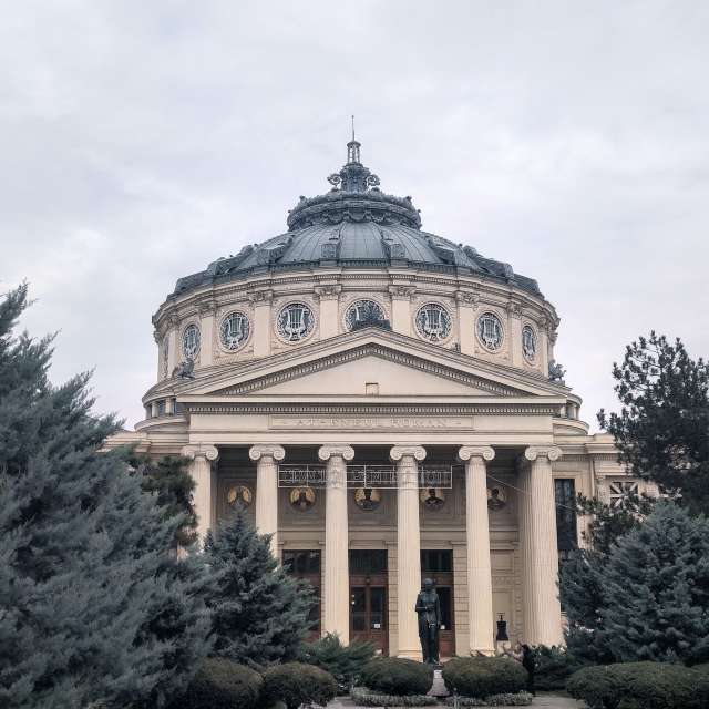 Fotos del Caballo. Pronósticos del tiempo con hermosas fotos de YanBog en București