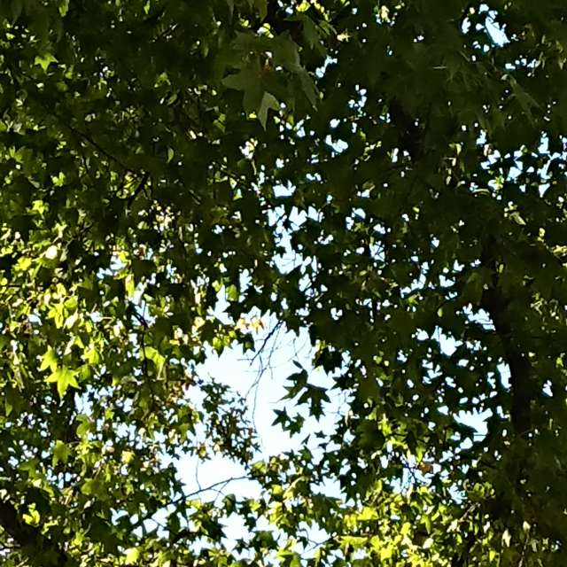 Wettervorhersagen mit schönen Fotos von eagle1969