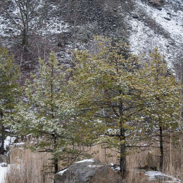 Pronósticos del tiempo con hermosas fotos de Paul57