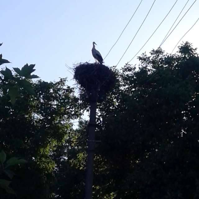 A sign. Weather forecasts with beautiful photos by urashm Photos in Khmelnytskyi