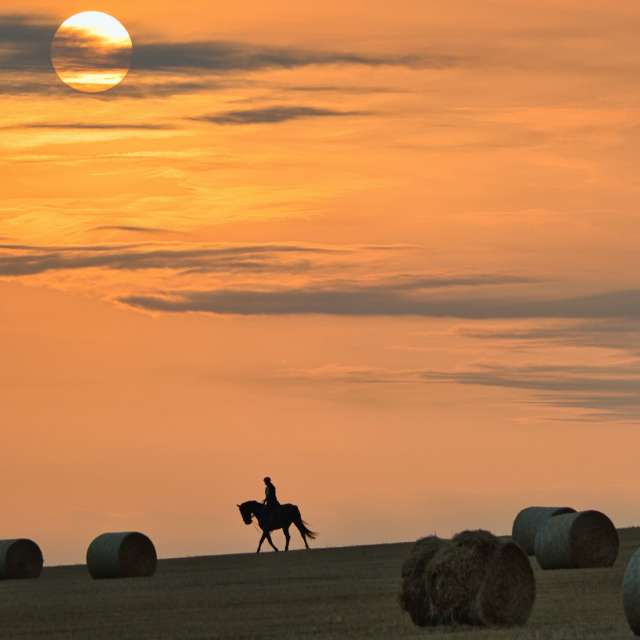 Прогнозы погоды с чудесными фотографиями, сделанными Jens