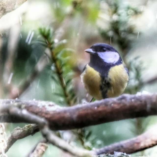 Weather forecasts with beautiful photos by Lotti5507